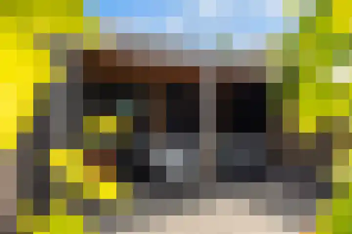 Olympushôf 6 Stiens thumbnail 38