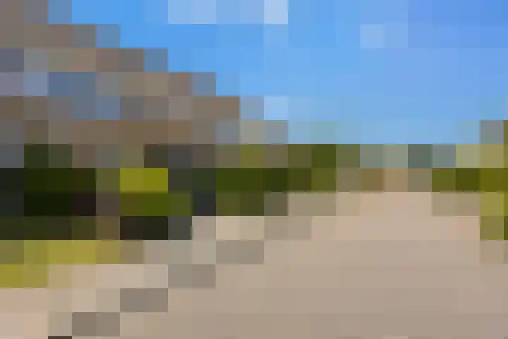 Olympushôf 6 Stiens thumbnail 39