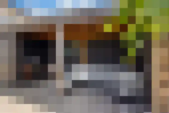 Olympushôf 6 Stiens thumbnail 4