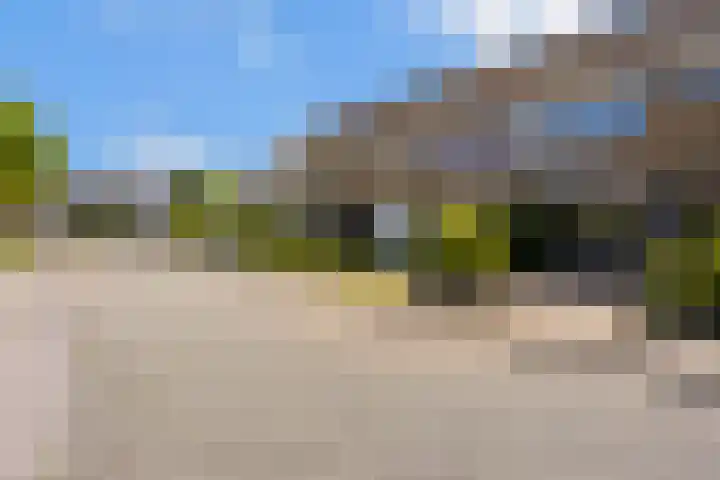 Olympushôf 6 Stiens thumbnail 40