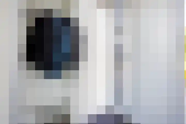 Olympushôf 6 Stiens thumbnail 5