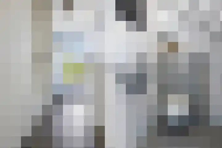 Olympushôf 6 Stiens thumbnail 7