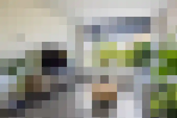 Olympushôf 6 Stiens thumbnail 8