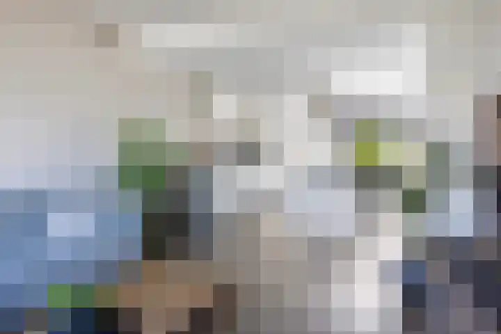 Olympushôf 6 Stiens thumbnail 9