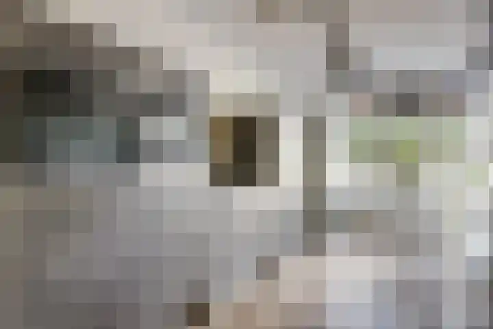Om de Lande 21 Enkhuizen thumbnail 13