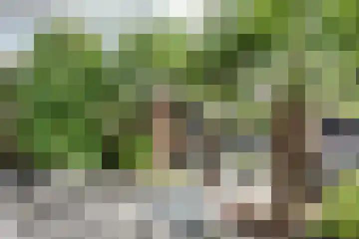 Om de Lande 21 Enkhuizen thumbnail 35