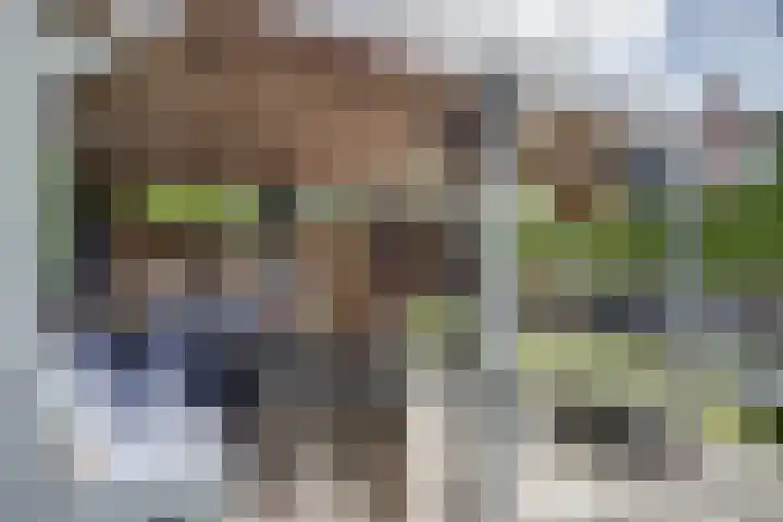 Om de Lande 21 Enkhuizen thumbnail 36