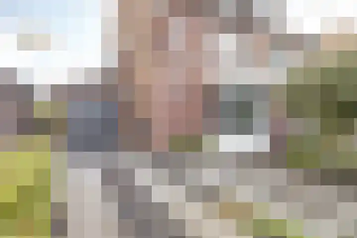 Om de Lande 21 Enkhuizen thumbnail 40