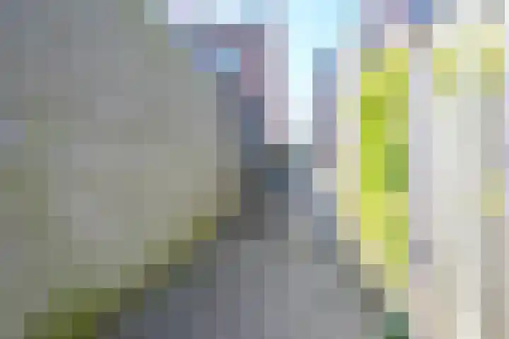 Om de Lande 3 Enkhuizen thumbnail 37