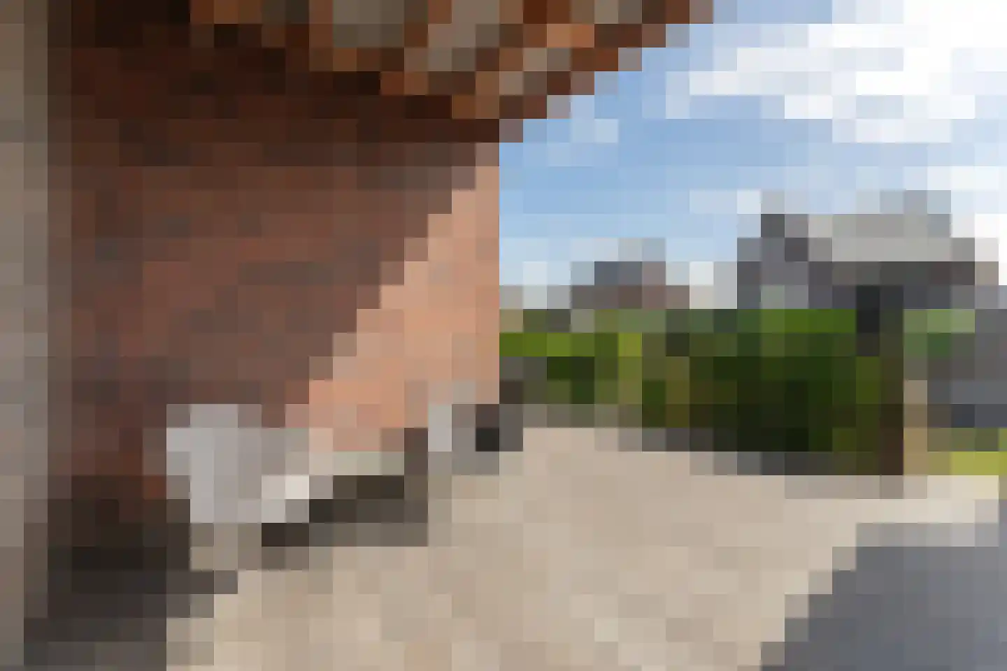 Om de Lande 45 Enkhuizen thumbnail 43