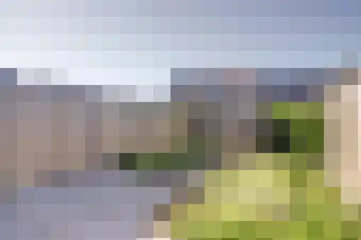 Om de Lande 6 Enkhuizen thumbnail 13