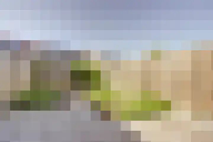 Om de Lande 6 Enkhuizen thumbnail 14