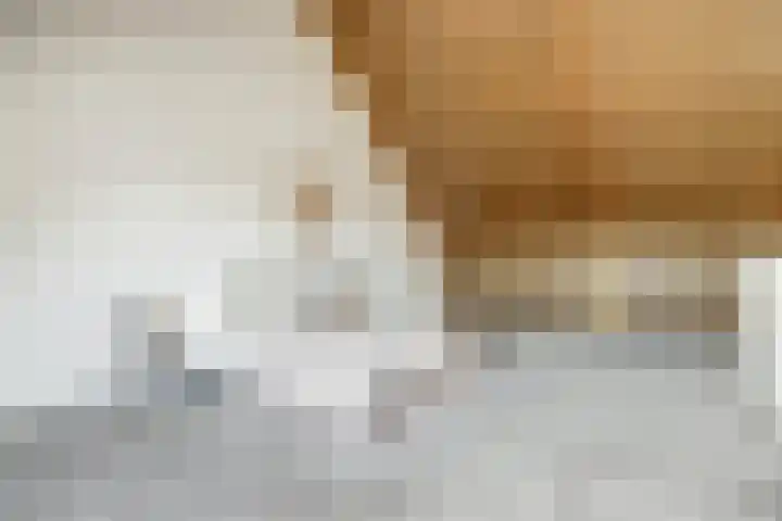 Om de Lande 6 Enkhuizen thumbnail 27