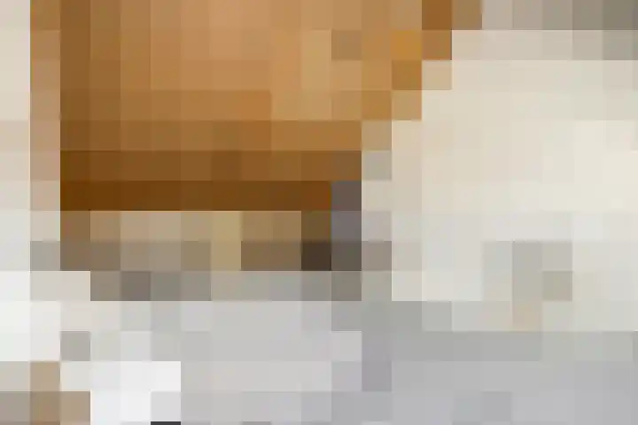 Om de Lande 6 Enkhuizen thumbnail 29
