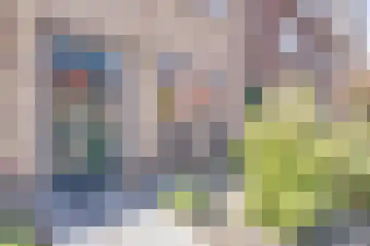 Om de Lande 6 Enkhuizen thumbnail 4