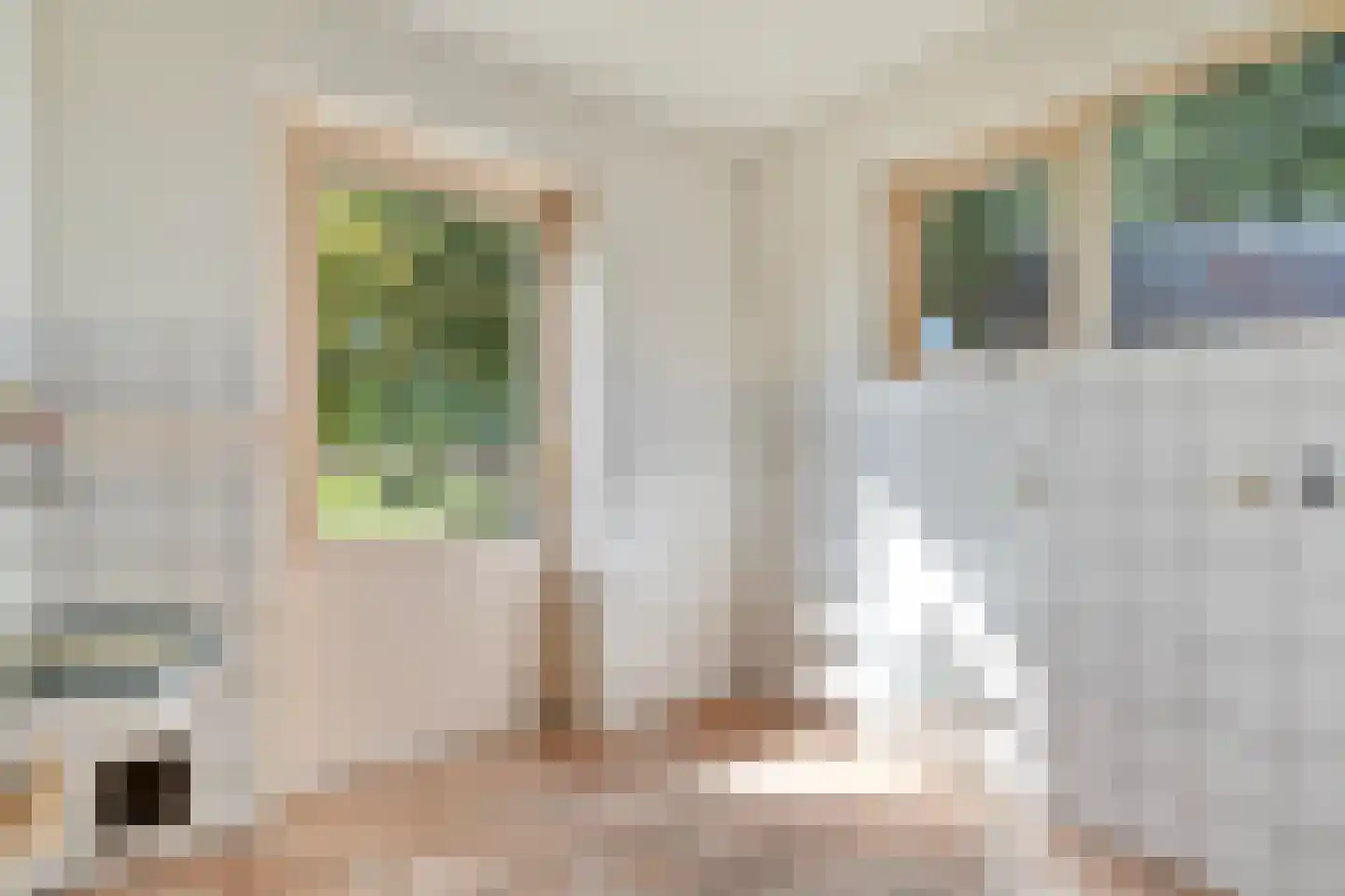 Om de Landskroon 6 Dalfsen thumbnail 23