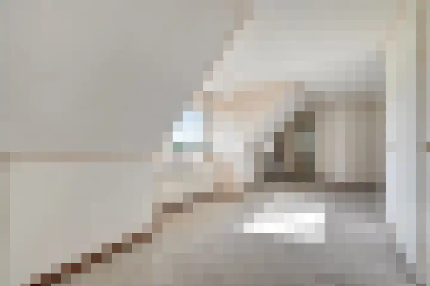 Om de Landskroon 6 Dalfsen thumbnail 29