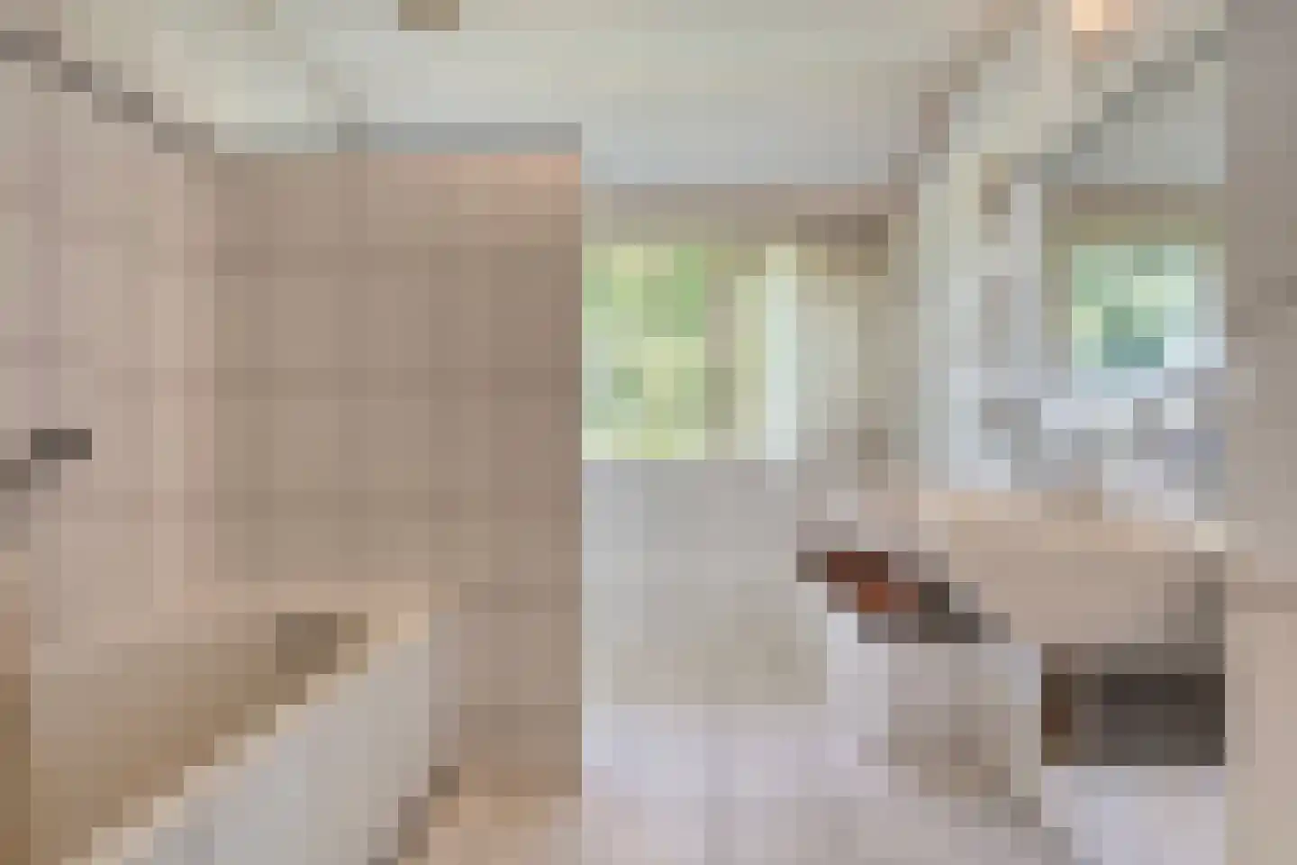 Om de Landskroon 6 Dalfsen thumbnail 36