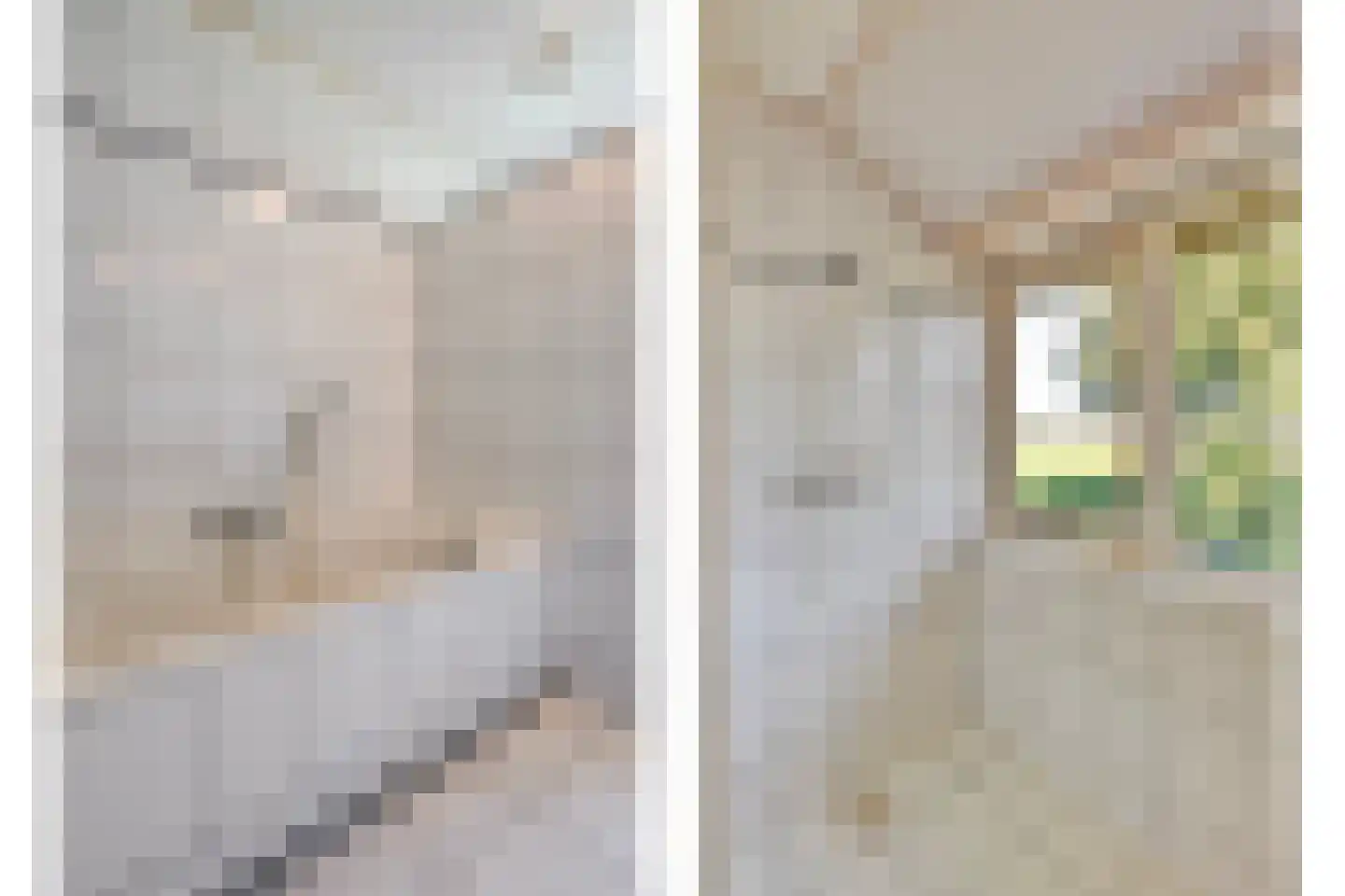 Om de Landskroon 6 Dalfsen thumbnail 37