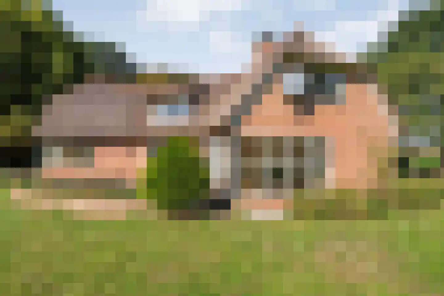 Om de Landskroon 6 Dalfsen thumbnail 4