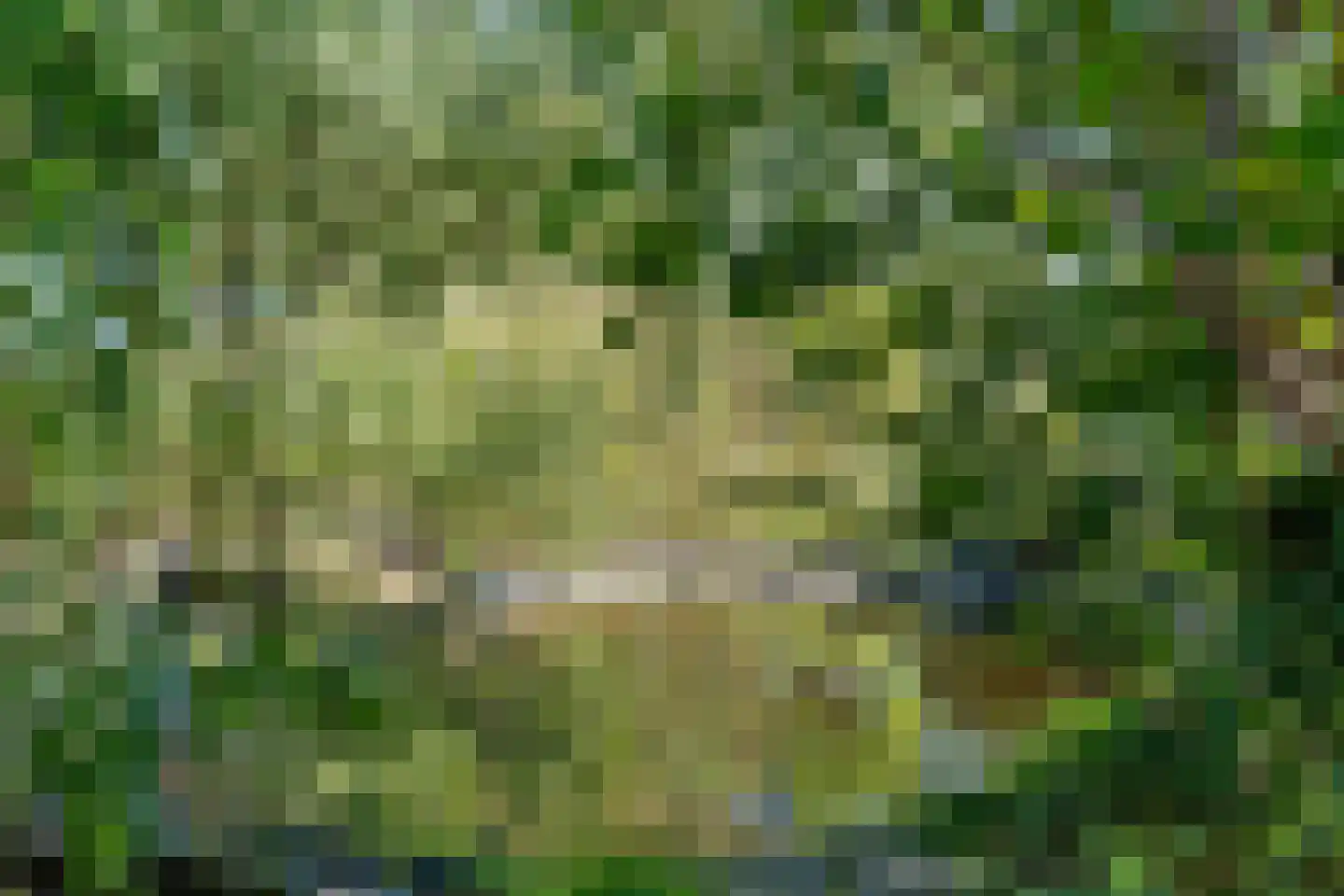 Om de Landskroon 6 Dalfsen thumbnail 41