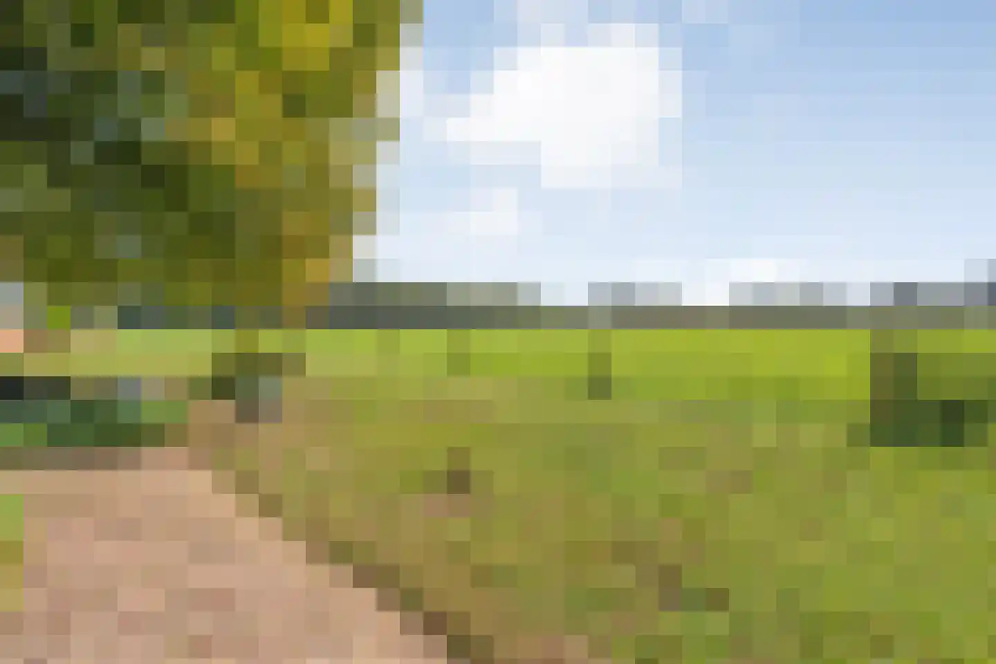 Om de Landskroon 6 Dalfsen thumbnail 42