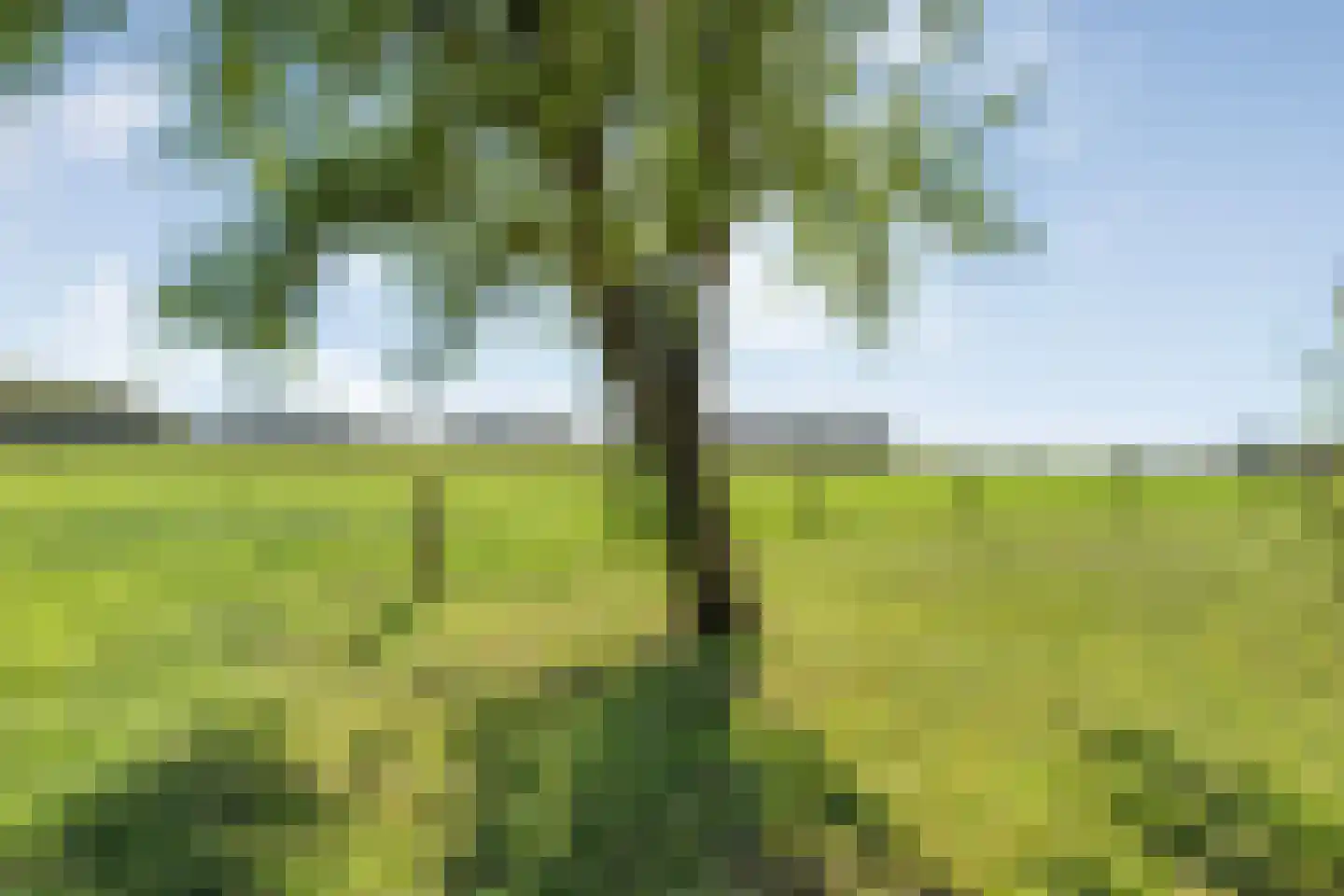 Om de Landskroon 6 Dalfsen thumbnail 43