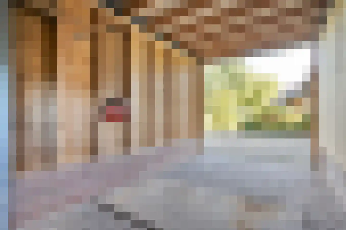 Om de Landskroon 6 Dalfsen thumbnail 46