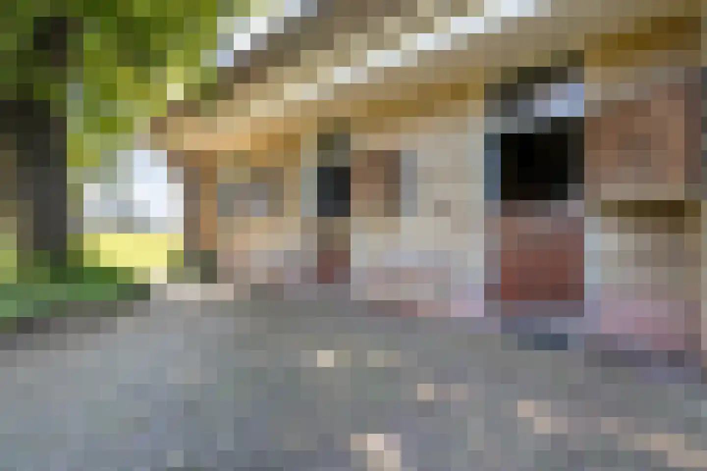 Om de Landskroon 6 Dalfsen thumbnail 48