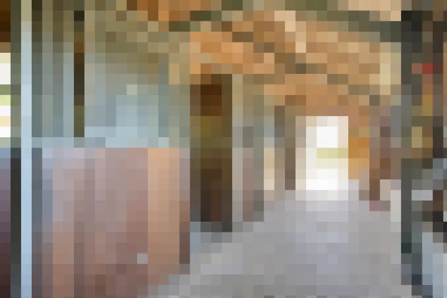 Om de Landskroon 6 Dalfsen thumbnail 49