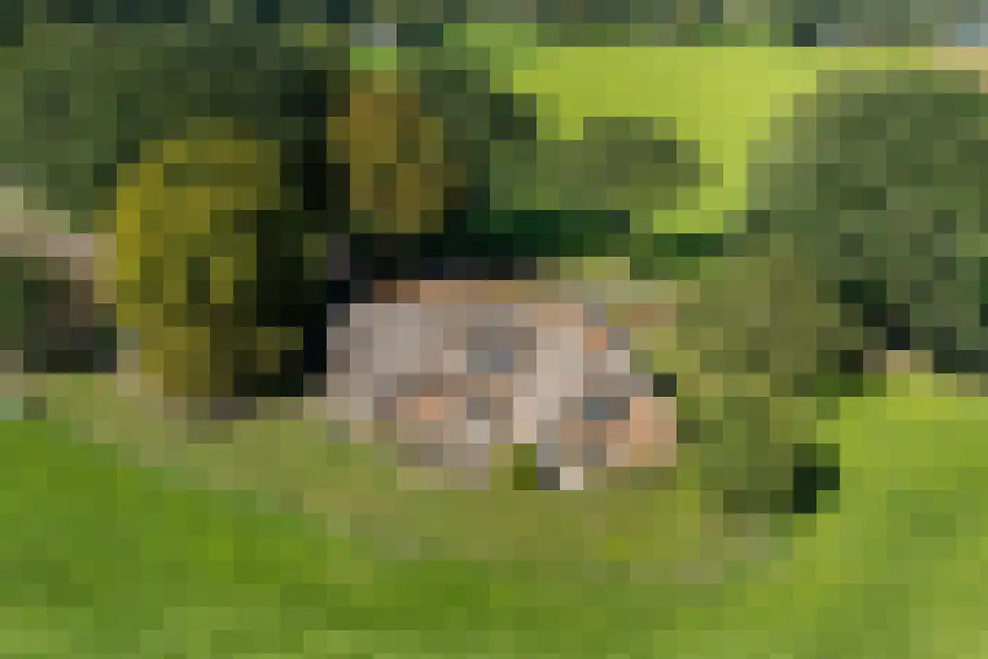 Om de Landskroon 6 Dalfsen thumbnail 5