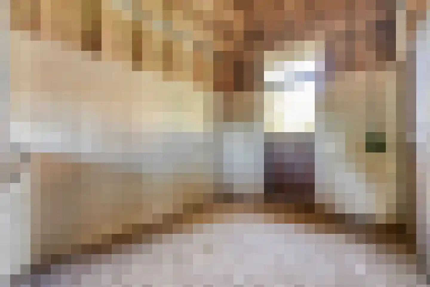 Om de Landskroon 6 Dalfsen thumbnail 50