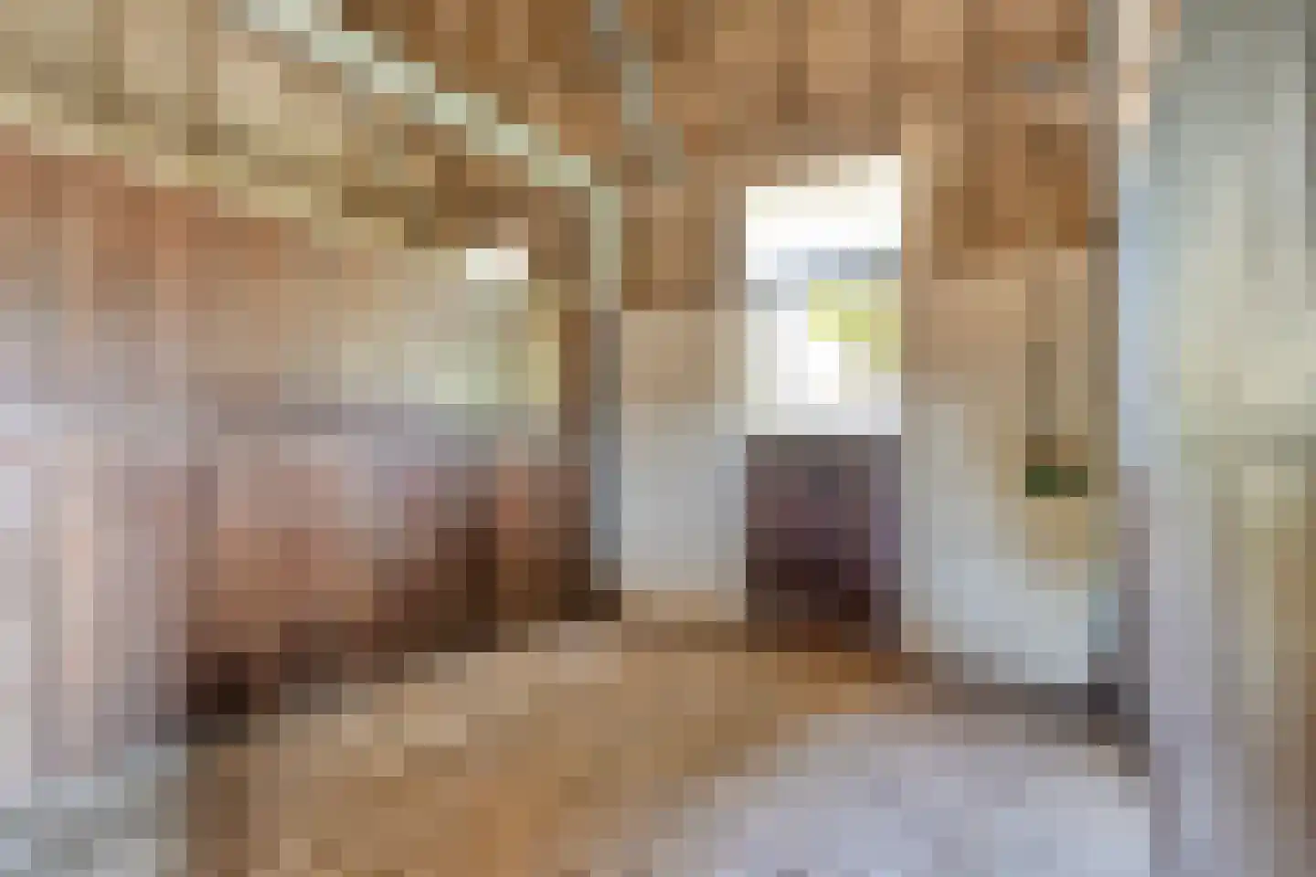 Om de Landskroon 6 Dalfsen thumbnail 51