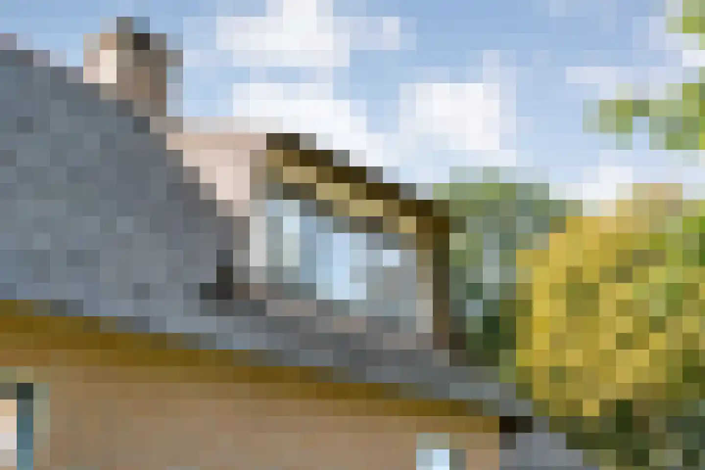 Om de Landskroon 6 Dalfsen thumbnail 53