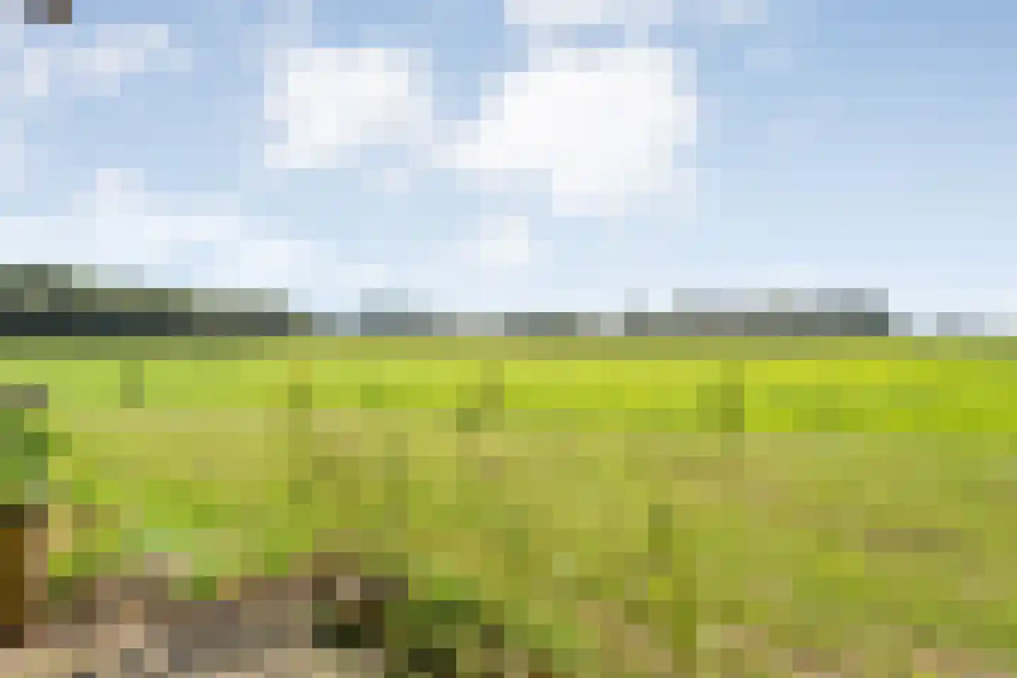 Om de Landskroon 6 Dalfsen thumbnail 56