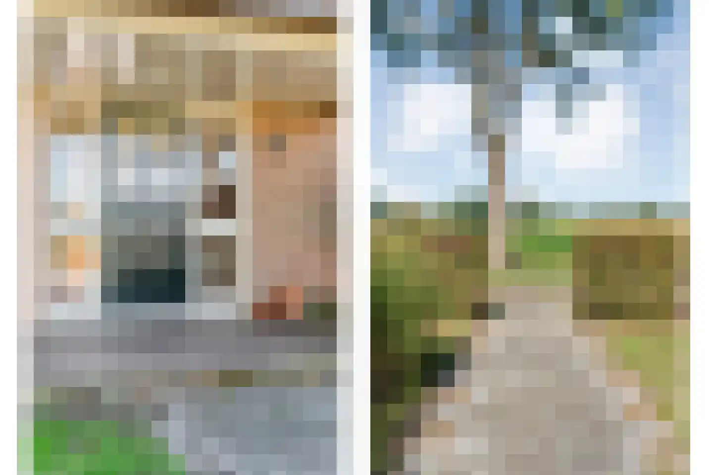 Om de Landskroon 6 Dalfsen thumbnail 6