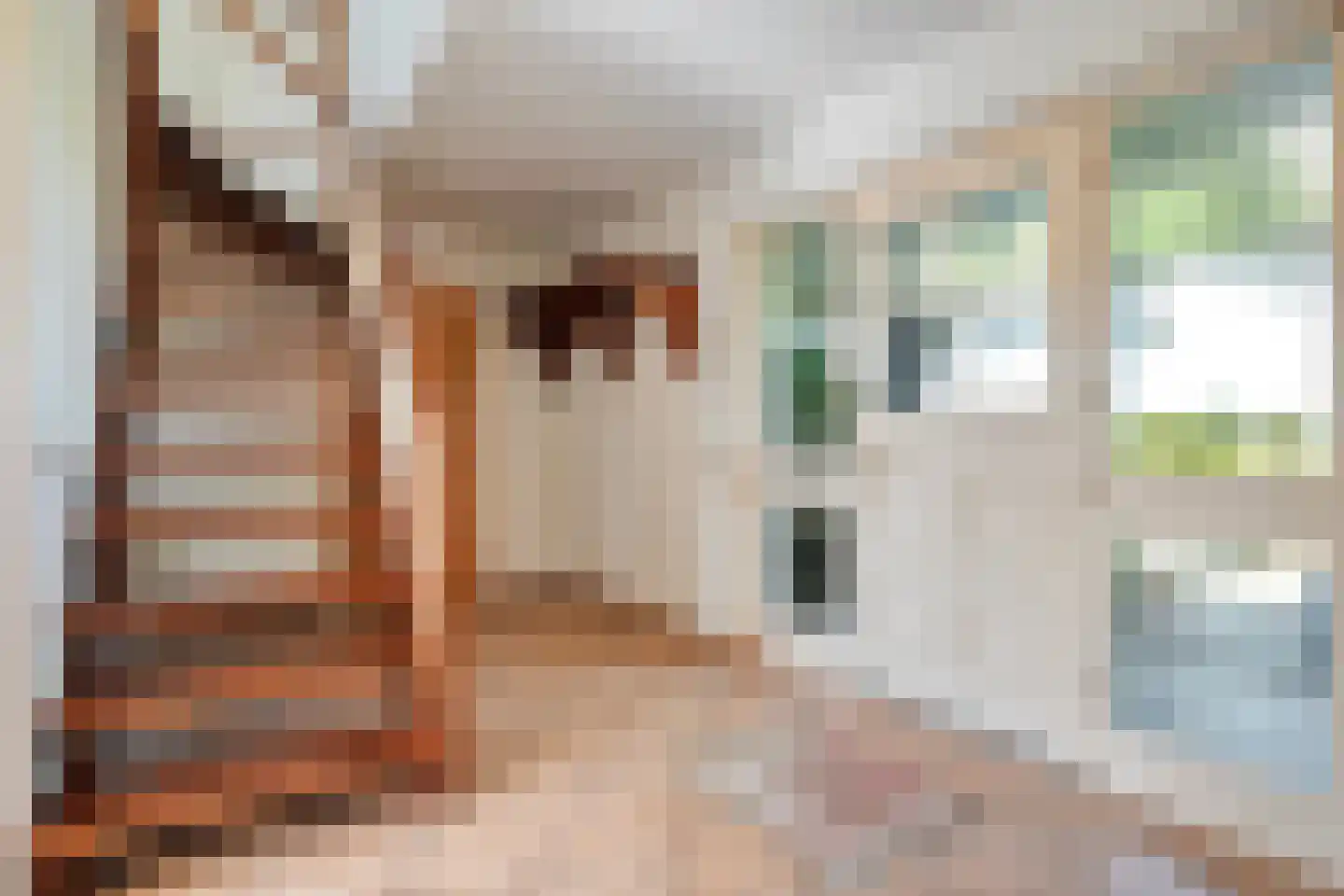 Om de Landskroon 6 Dalfsen thumbnail 8