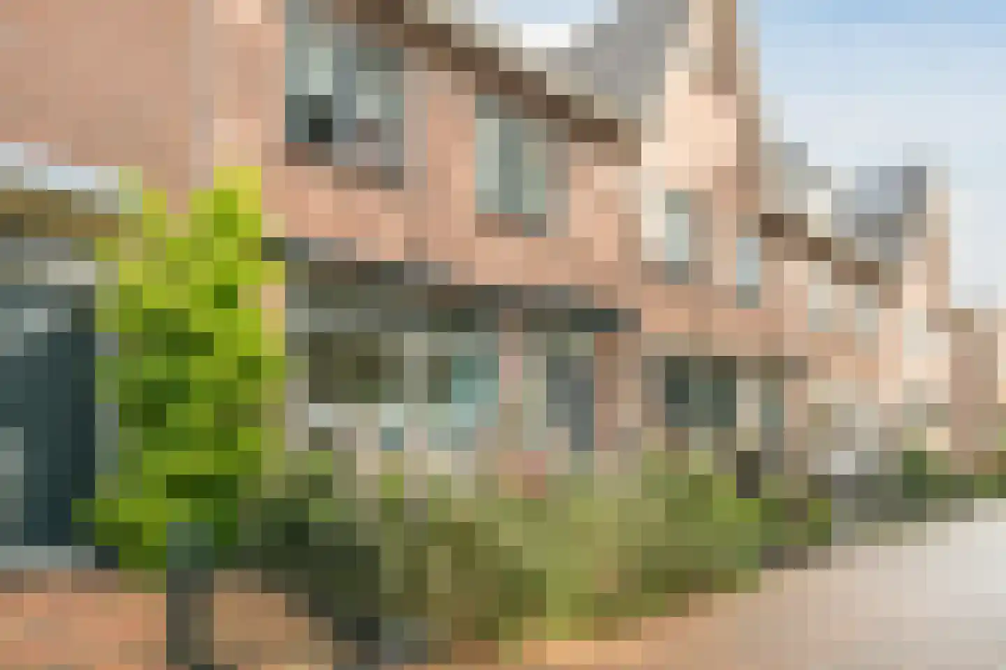 Om 't Hof 3 Montfoort