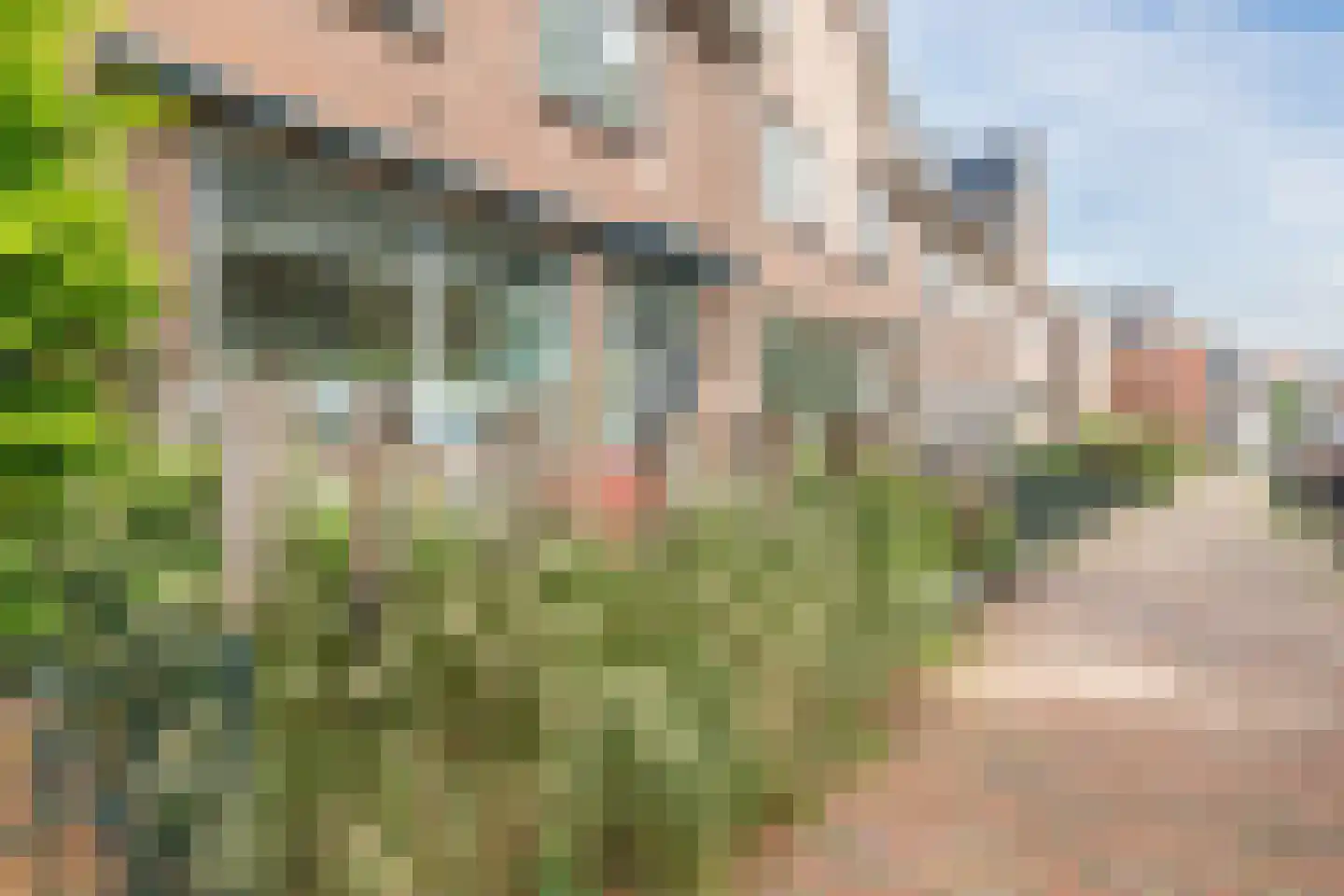 Om 't Hof 3 Montfoort thumbnail 36