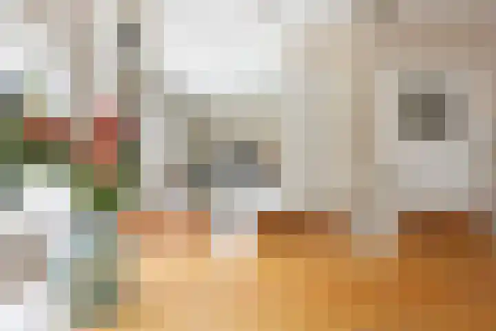 Om 't Hof 4 Montfoort thumbnail 13