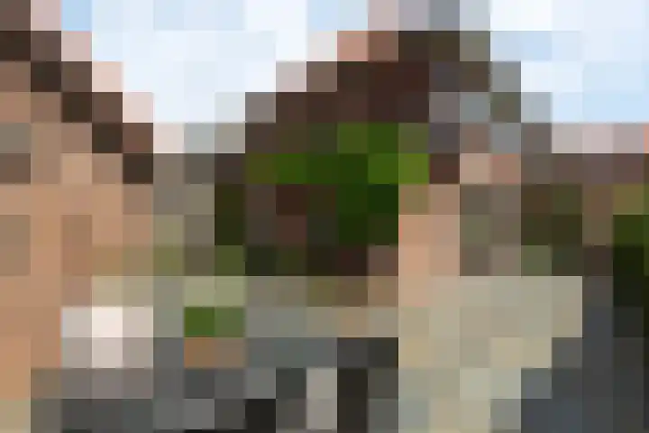Om 't Hof 4 Montfoort thumbnail 20