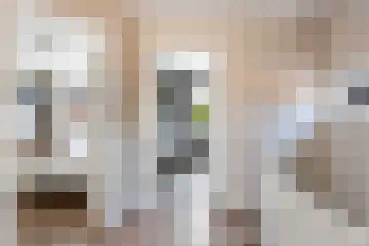 Om 't Hof 4 Montfoort thumbnail 25