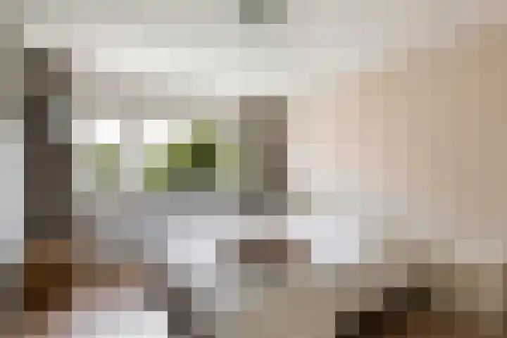 Om 't Hof 4 Montfoort thumbnail 26