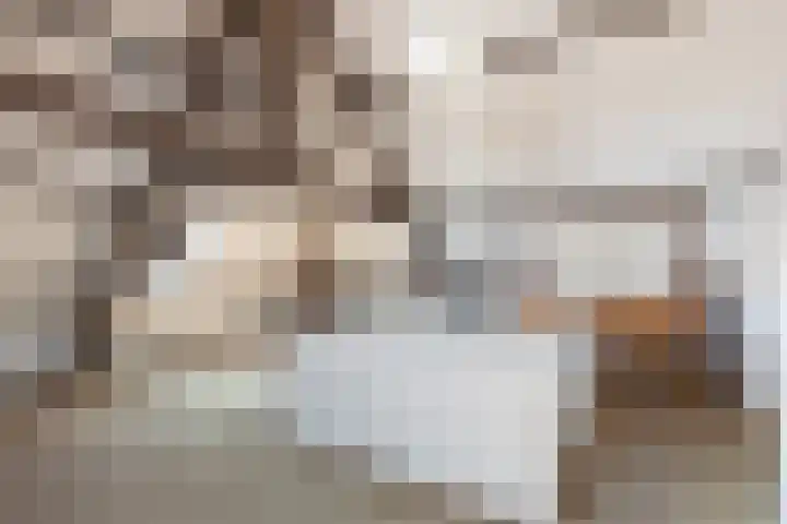 Om 't Hof 4 Montfoort thumbnail 36