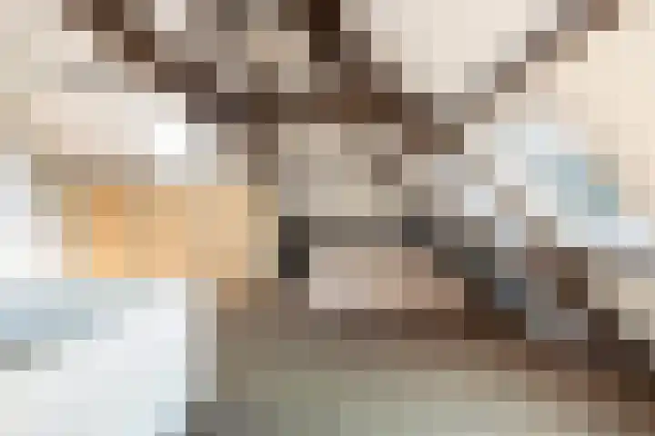 Om 't Hof 4 Montfoort thumbnail 37