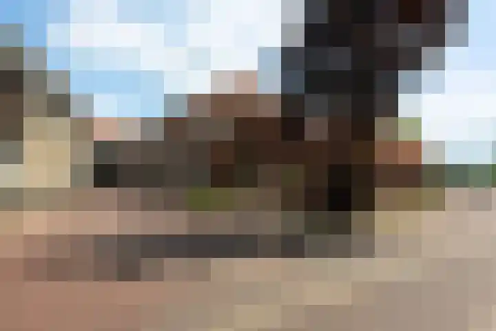Om 't Hof 4 Montfoort thumbnail 39