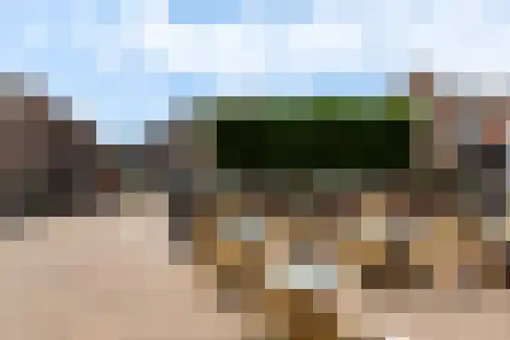 Om 't Hof 4 Montfoort thumbnail 40