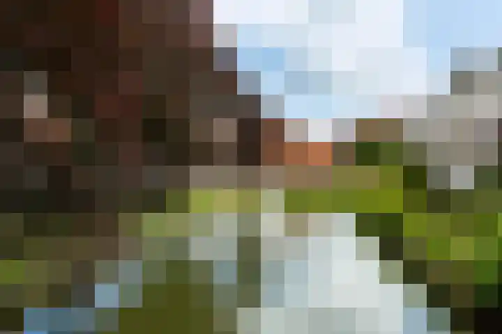 Om 't Hof 4 Montfoort thumbnail 41