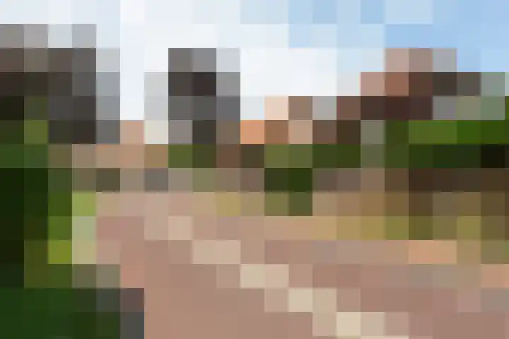 Om 't Hof 4 Montfoort thumbnail 43