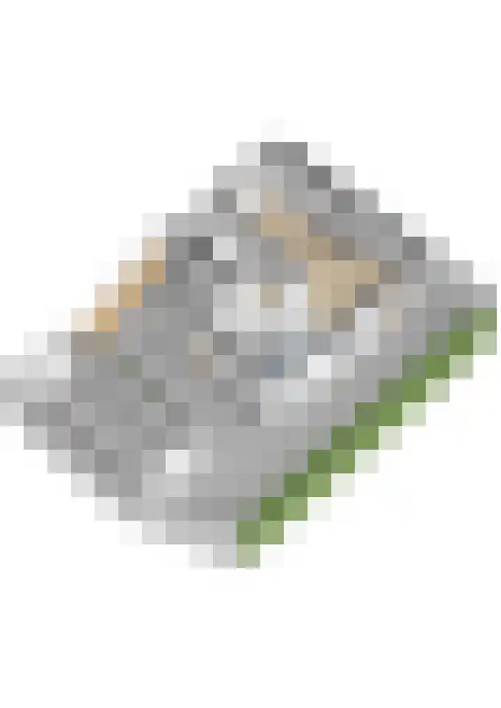 Om 't Hof 4 Montfoort thumbnail 51